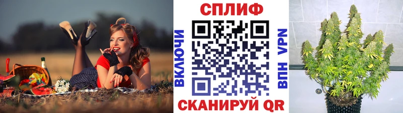 Бошки марихуана марихуана  Купить  Цимлянск 